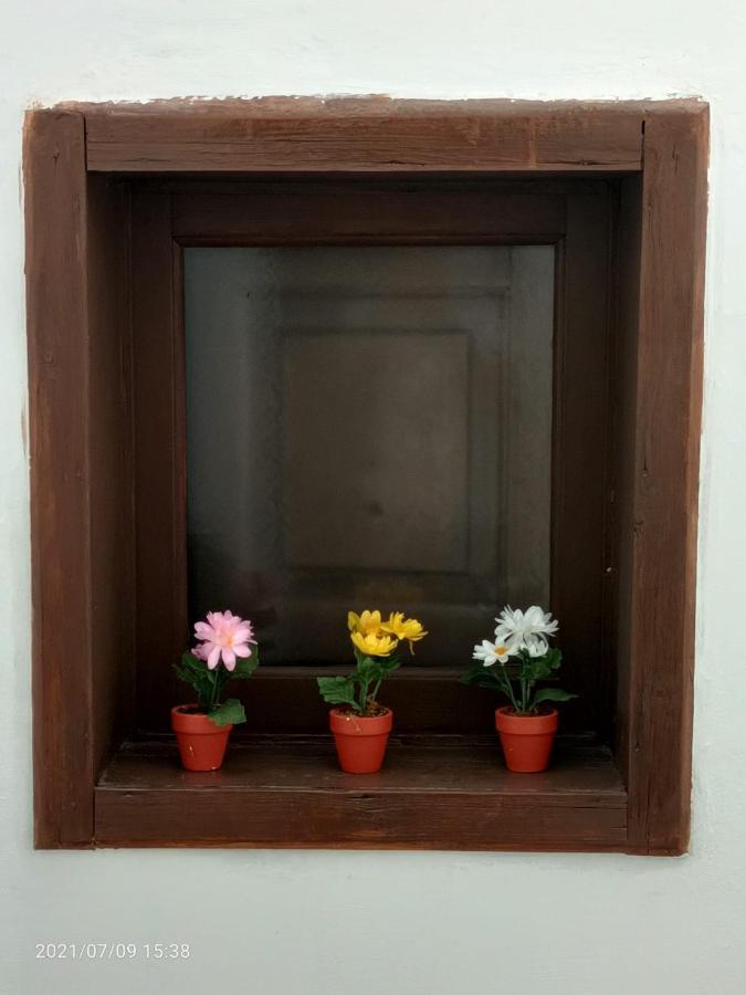 Florhouse Pacini Apartment Catania
